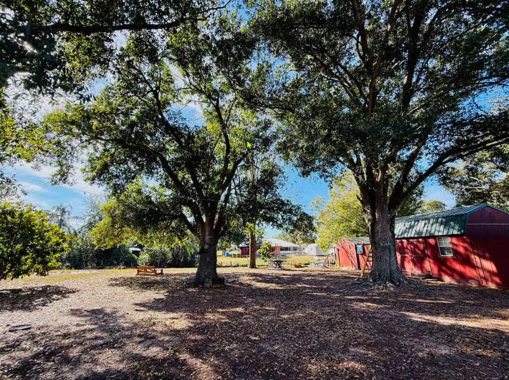 Backyard